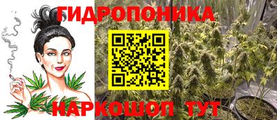 кокс Анапа