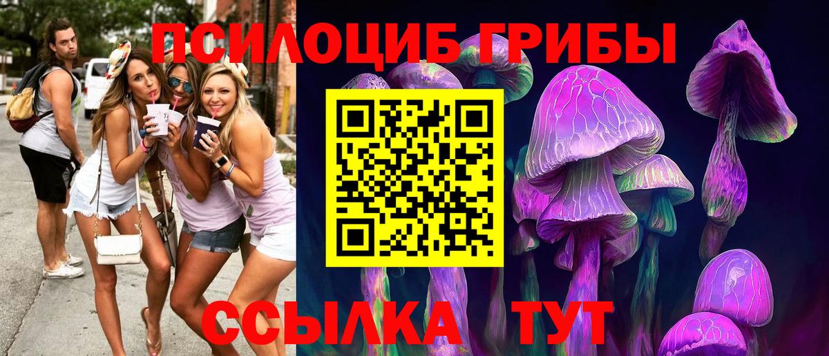 Галлюциногенные грибы Magic Shrooms  Псилоцибиновые грибы MAGIC MUSHROOMS  Вход с VPN  Орск 